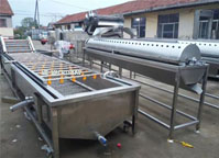 Chicken feet washing machine