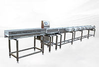 Belt type automatic weight grader machine